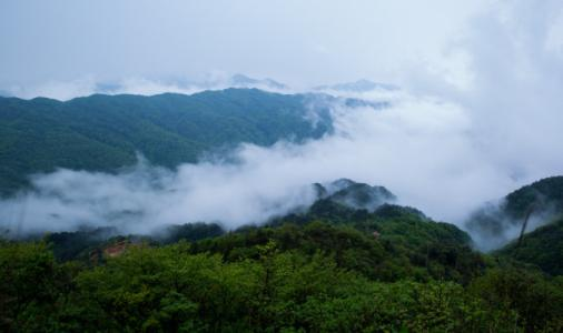 苗濟堂--靖安苗草集商貿有限公司歡迎您！