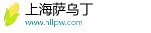 上海薩烏丁電子科技有限公司