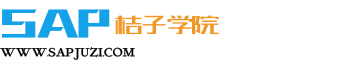 SAP培訓_SAP培訓課程學習及SAP培訓視頻資料下載-SAP桔子學院