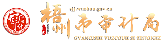 廣西梧州市審計局網站 -
      http://sjj.wuzhou.gov.cn