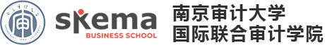 國際聯合審計學院