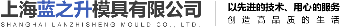 上海藍之升模具有限公司