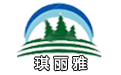 深圳節慶布置廠家，承接商業美陳春節裝飾工程及燈光節造型｜琪麗雅