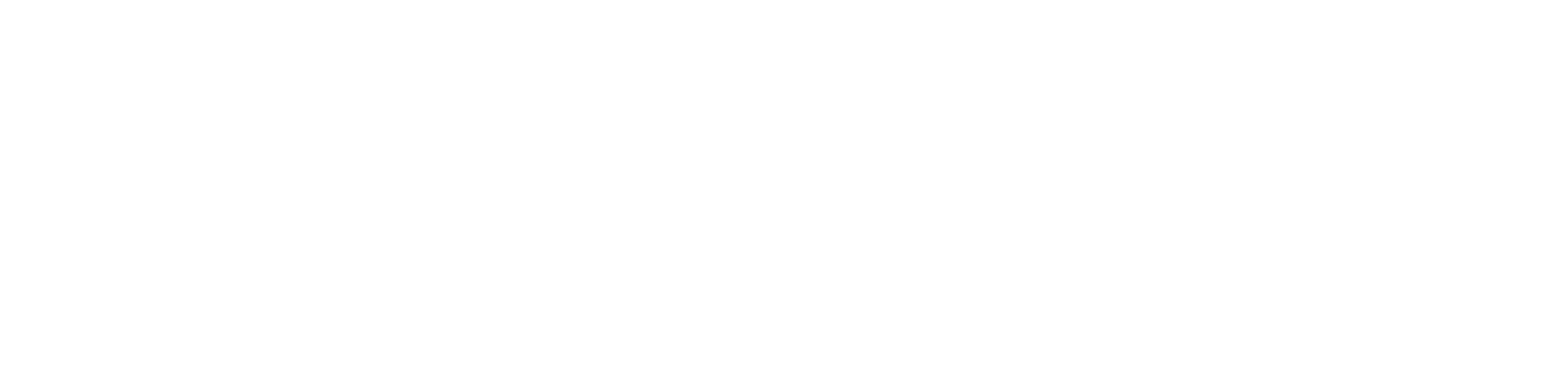 Toyo-東洋官方網站