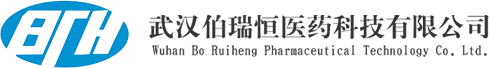 武漢伯瑞恒醫藥科技有限公司