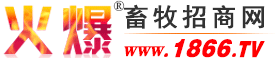 火爆畜牧招商網-獸藥飼料(水產/畜/禽)招商/代理,畜牧機械采購,畜牧養殖類網站【1866.TV】