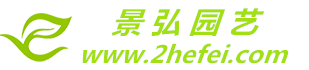 合肥辦公室綠植租賃_花卉租擺出租【專業上門養護】-景弘園藝公司