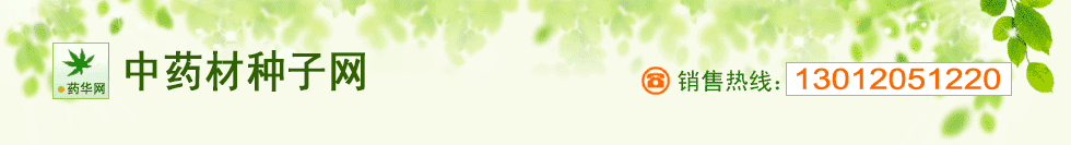 中藥材種子網-售藥材種子-中藥材種子-中藥材種子網