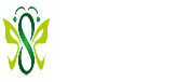 51板報~精彩生活，隨心所閱！