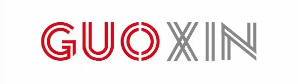 安徽國芯人工智能有限公司