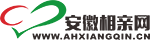 安徽相親網-官方-十年婚戀服務老品牌-政企深度合作-合肥脫單交友相親找對象擇偶定位