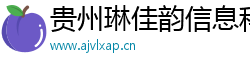 貴州琳佳韻信息科技有限公司