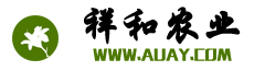 專業黃花菜種苗供應商/黃花菜種植技術支持---衡陽祥和農業有限公司