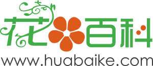 百花海 - 您身邊的養花專家