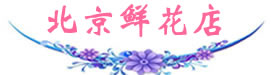 北京網上送花_北京鮮花_北京花店|北京花園鮮花店