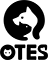 奧特斯(OTES)