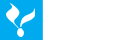 工資表自動生成工資條-草廬工資條|CaoLu.xin