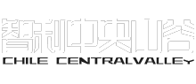 智利中央山谷網