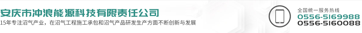 安慶市沖浪能源科技有限責任公司