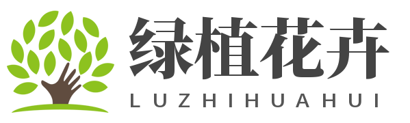 常見綠植花卉如何種植,植物百科,花卉寓意_迪奧克綠植花卉
