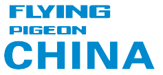 飛鴿官方網站