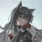 FzWjScJの菜雞記錄