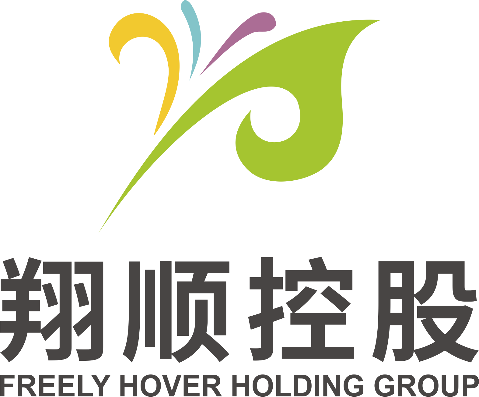 翔順控股集團有限公司