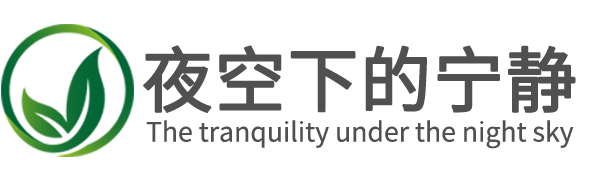 夜空下的寧靜-個人博客