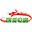 專業承接小汽車托運,轎車托運,私家車托運,國盛暢通轎車托運公司