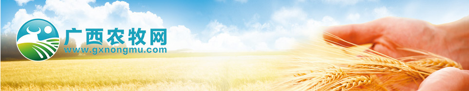 廣西農牧網—品質農牧業融媒體傳播平臺