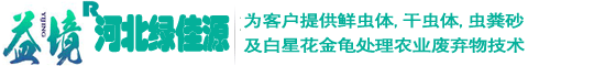自動化養蟲設備,白星花金龜種蟲,蠐螬規?；曫B技術,蠐螬糞生物肥-河北綠佳源生物科技有限公司