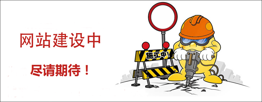 商城網站建設制作_外貿中英文購物網站建設,外貿商城網站建設