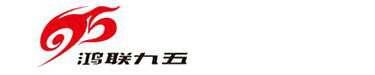河南鴻聯九五