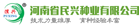 |河南省民興種業有限公司