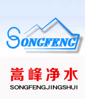 果殼_椰殼_顆?；钚蕴縚煤質柱狀_水處理濾料--嵩峰凈水廠家