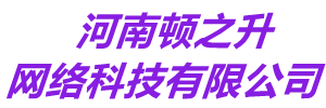 頓之升網絡-頓之升網站建設-高端網站建設