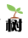 林中小樹-分享IT技術，記錄IT工作