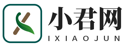 小君博客 - 專注分享便宜VPS與服務器 - 主機測評和優惠活動分享