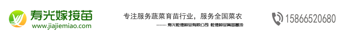 壽光嫁接苗網-黃瓜苗|黃瓜嫁接苗|嫁接黃瓜苗|嫁接番茄苗|番茄嫁接苗|嫁接西紅柿苗|西紅柿嫁接苗|辣椒苗