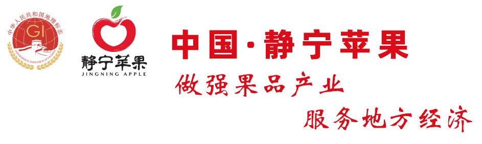 靜寧蘋果 - 靜寧蘋果