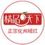 橘品天下集團-專注橘紅生產定制、化州橘紅批發、化州橘紅代理、化州橘紅加盟