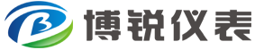 _金湖博銳儀表有限公司