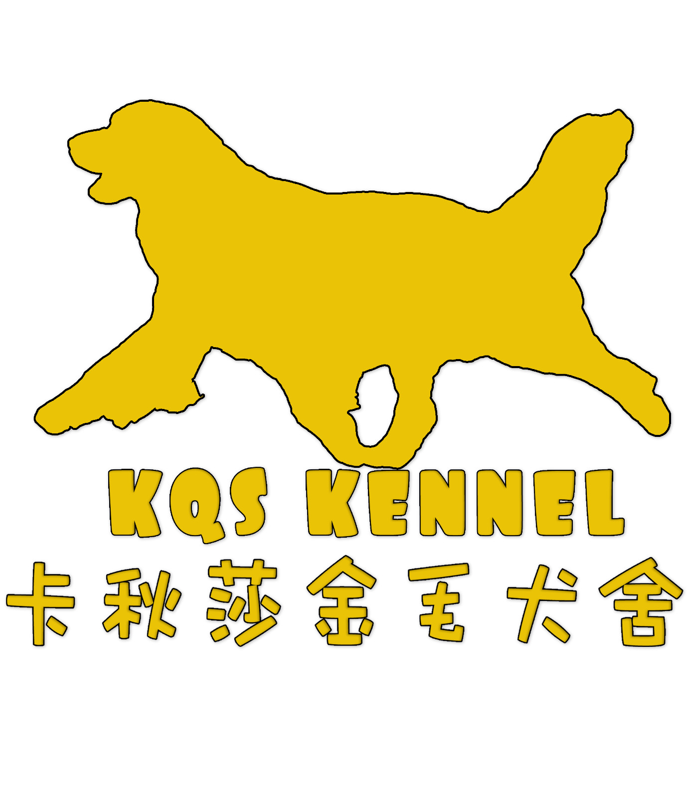 濟南賽級金毛-雙血統金毛[廣州/上海]-卡秋莎金毛犬舍