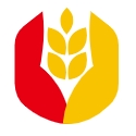 離婚律師咨詢 - 重慶手巴崖網絡科技有限公司