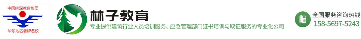 合肥林子教育科技有限公司