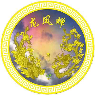 河南龍鳳蟬生物科技有限公司