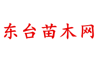東臺市弶港鎮綠如林苗圃