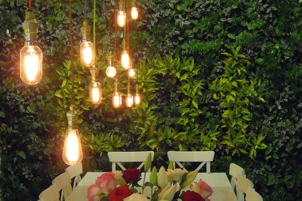 植物墻，仿真植物墻、屋面綠化