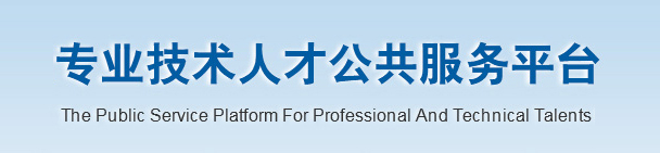 專業技術人才公共服務平臺