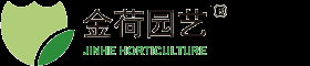 上海植物租賃公司_上海辦公室綠化植物花卉租賃養護_金荷園藝